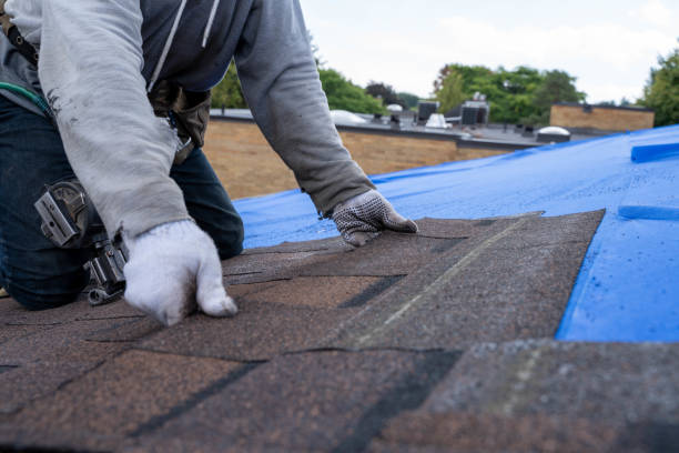 Best Metal Roofing Contractor  in Mayflower Village, CA
